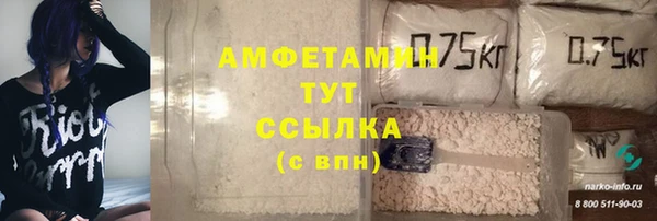 стаф Алзамай