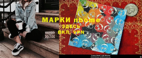 стаф Алзамай